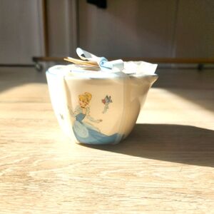 DISNEY X RAE DUNN Cinderella measures cup set